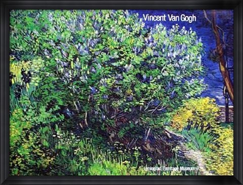 Framed Trees and Pond Print