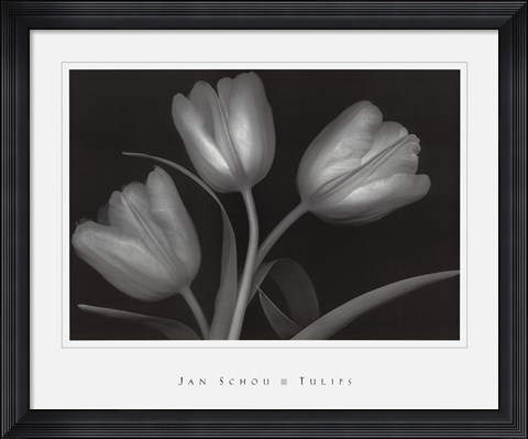 Framed Tulips Print