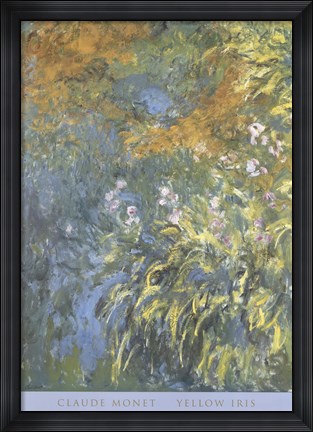 Framed Yellow Iris Print