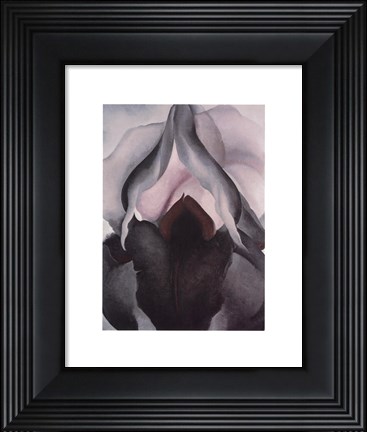 Framed Black Iris, 1906 Print