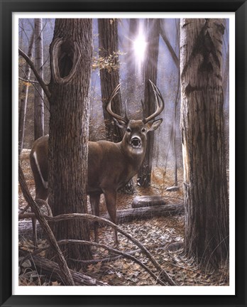 Framed Woodland Sentry Print