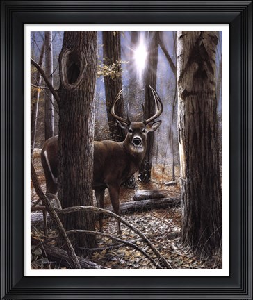 Framed Woodland Sentry Print