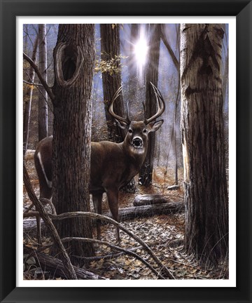 Framed Woodland Sentry Print