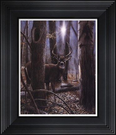 Framed Woodland Sentry Print