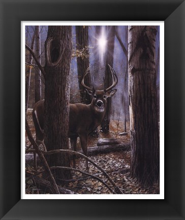 Framed Woodland Sentry Print