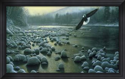 Framed Eagle Over Water Print