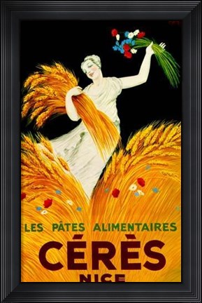 Framed Ceresnice Print