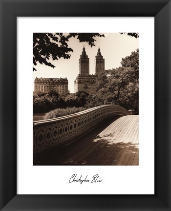 Framed Central Park Bridges I Print