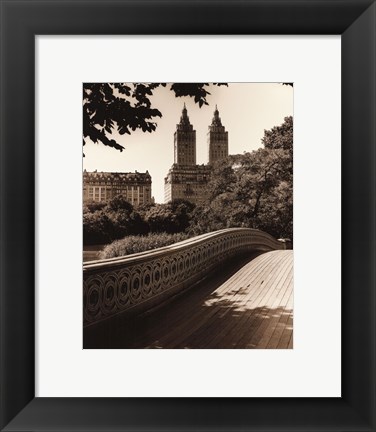 Framed Central Park Bridges I Print
