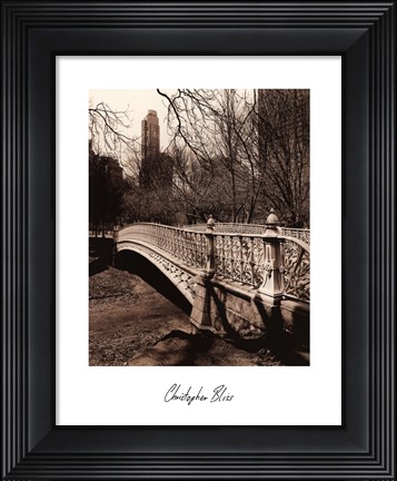 Framed Central Park Bridges II Print