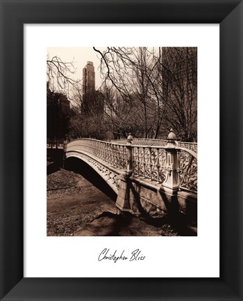 Framed Central Park Bridges II Print