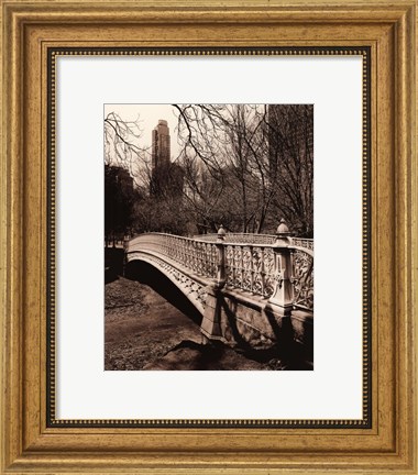 Framed Central Park Bridges II Print