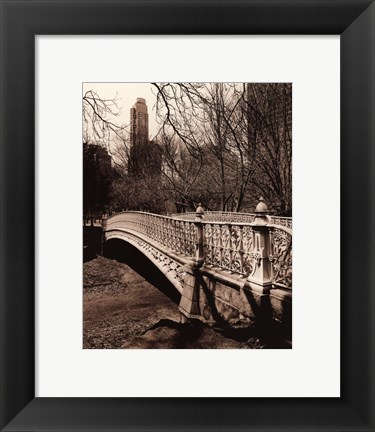 Framed Central Park Bridges II Print