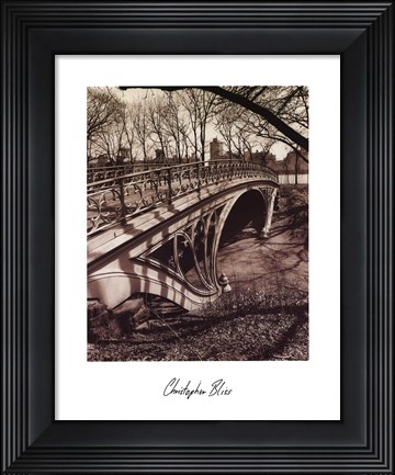 Framed Central Park Bridges III Print