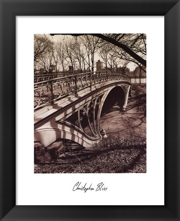 Framed Central Park Bridges III Print