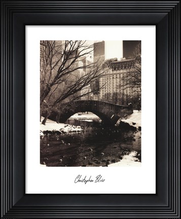 Framed Central Park Bridges IV Print