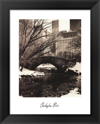 Framed Central Park Bridges IV Print