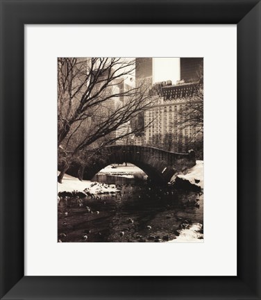 Framed Central Park Bridges IV Print