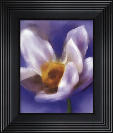 Framed Daffodil Study Print
