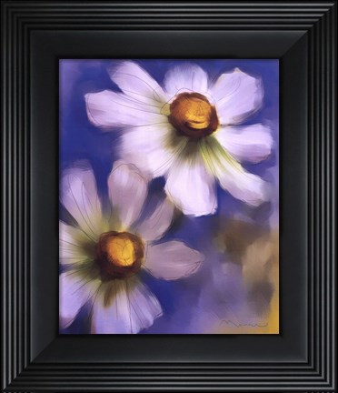 Framed Daisies On Blue Print