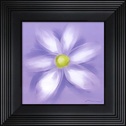 Framed Daisy Print
