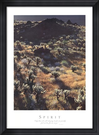 Framed Spirit Print