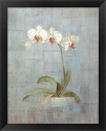 Framed Elegant Orchids II Print