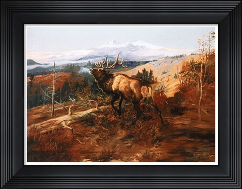 Framed Elk Print