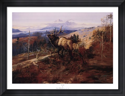 Framed Elk Print