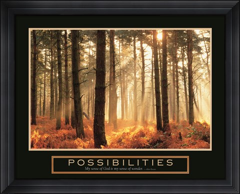 Framed Possibilities-Sunlight Print
