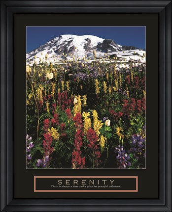 Framed Serenity - Mt. Rainier Print