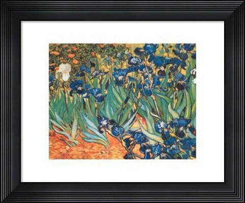 Framed Iris Garden Print