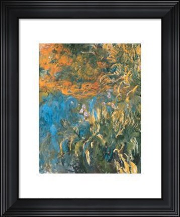 Framed Iris, 1914-1917 Print