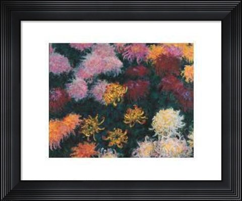 Framed Chrysanthemum, 1897 Print