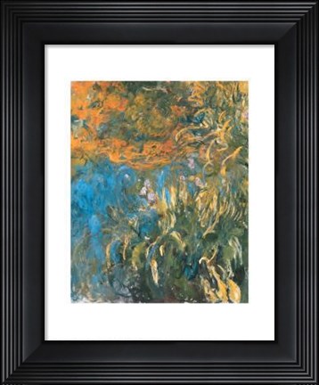 Framed Iris, 1914-1917 Print