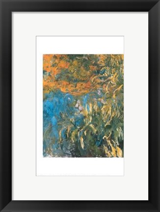 Framed Iris, 1914-1917 Print
