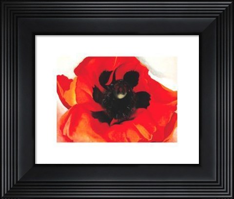 Framed Poppy Print
