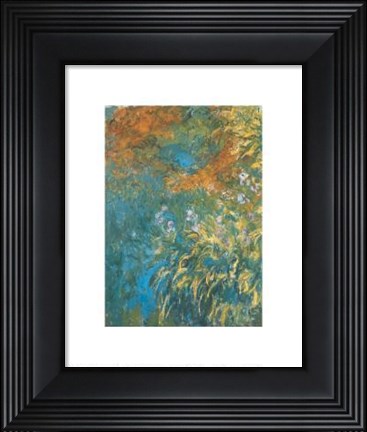 Framed Yellow Iris Print