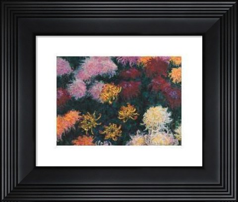Framed Chrysanthemum, 1897 Print