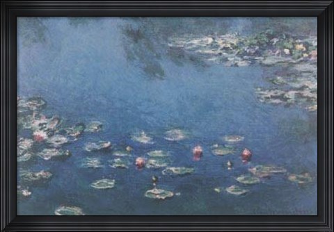 Framed Waterlillies Print