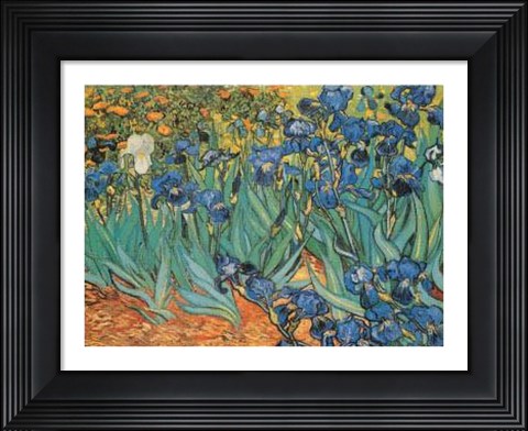 Framed Garden Of Irises Print