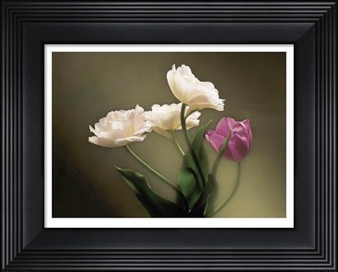 Framed Tulips Print