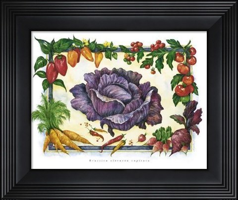 Framed Cabbage Print