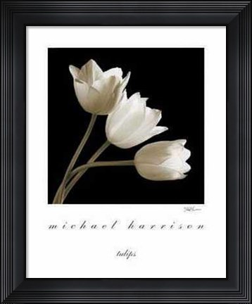 Framed Three Tulips Print