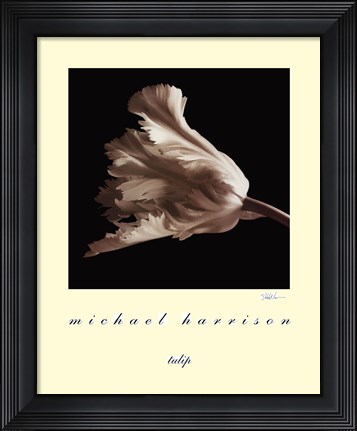 Framed Tulip Print