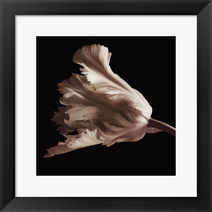 Framed Tulip Print