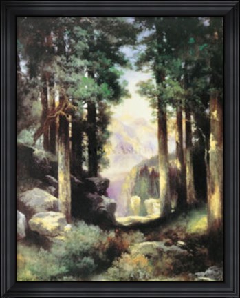 Framed Grand Canyon Of The Colorado Print