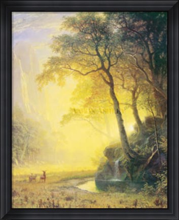 Framed Hetch Hetchy Canyon Print