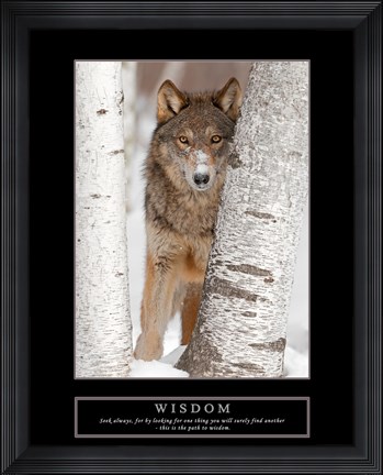 Framed Wisdom - Gray Wolf Print