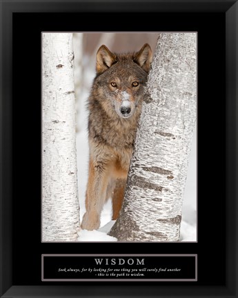 Framed Wisdom - Gray Wolf Print